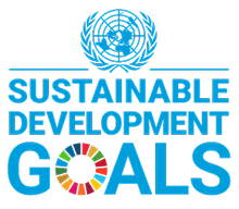 SDG logo