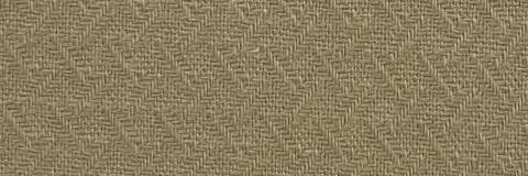Beige Cotton Dobby Backing
