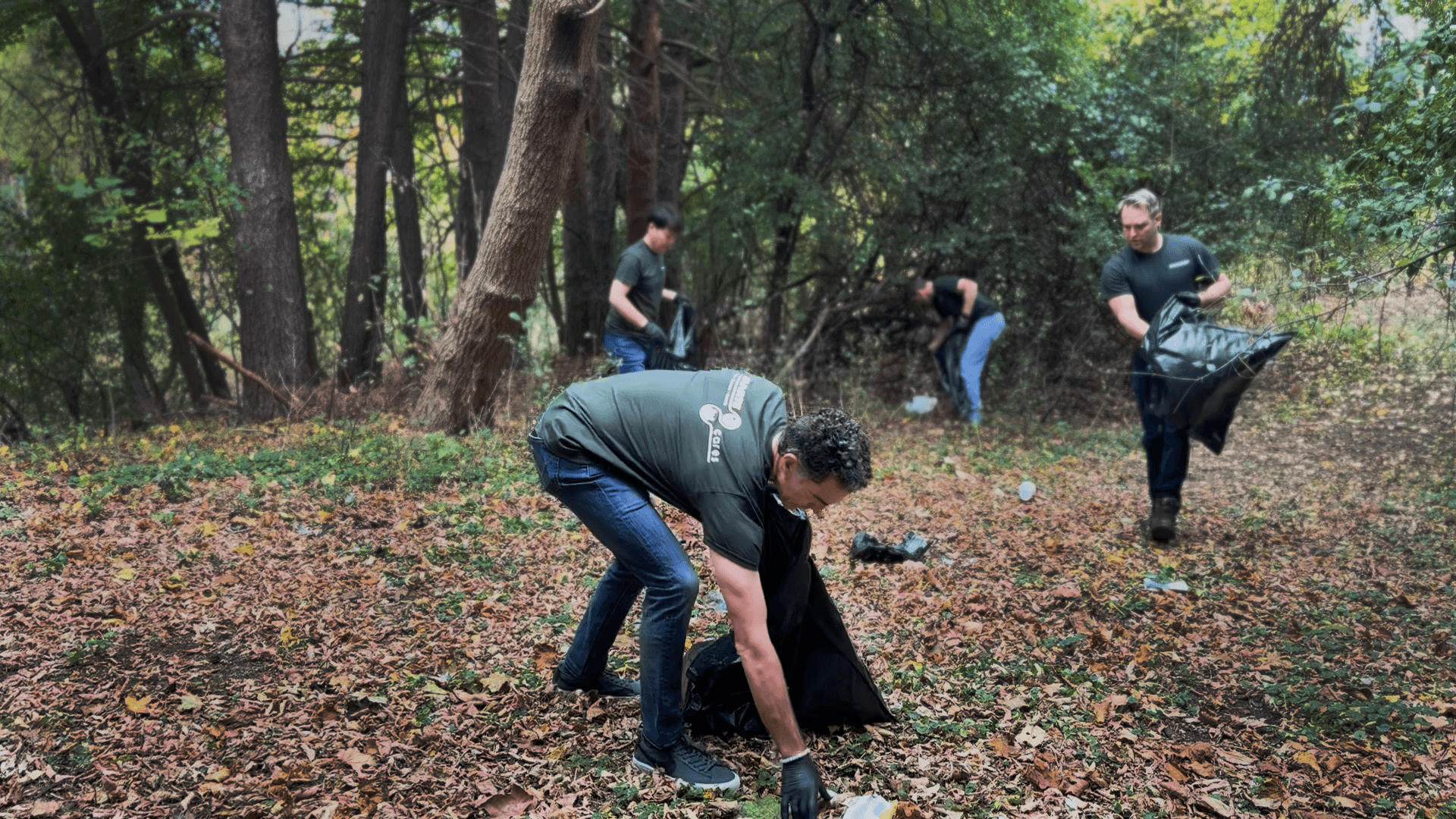 Haartz employees picking up trash